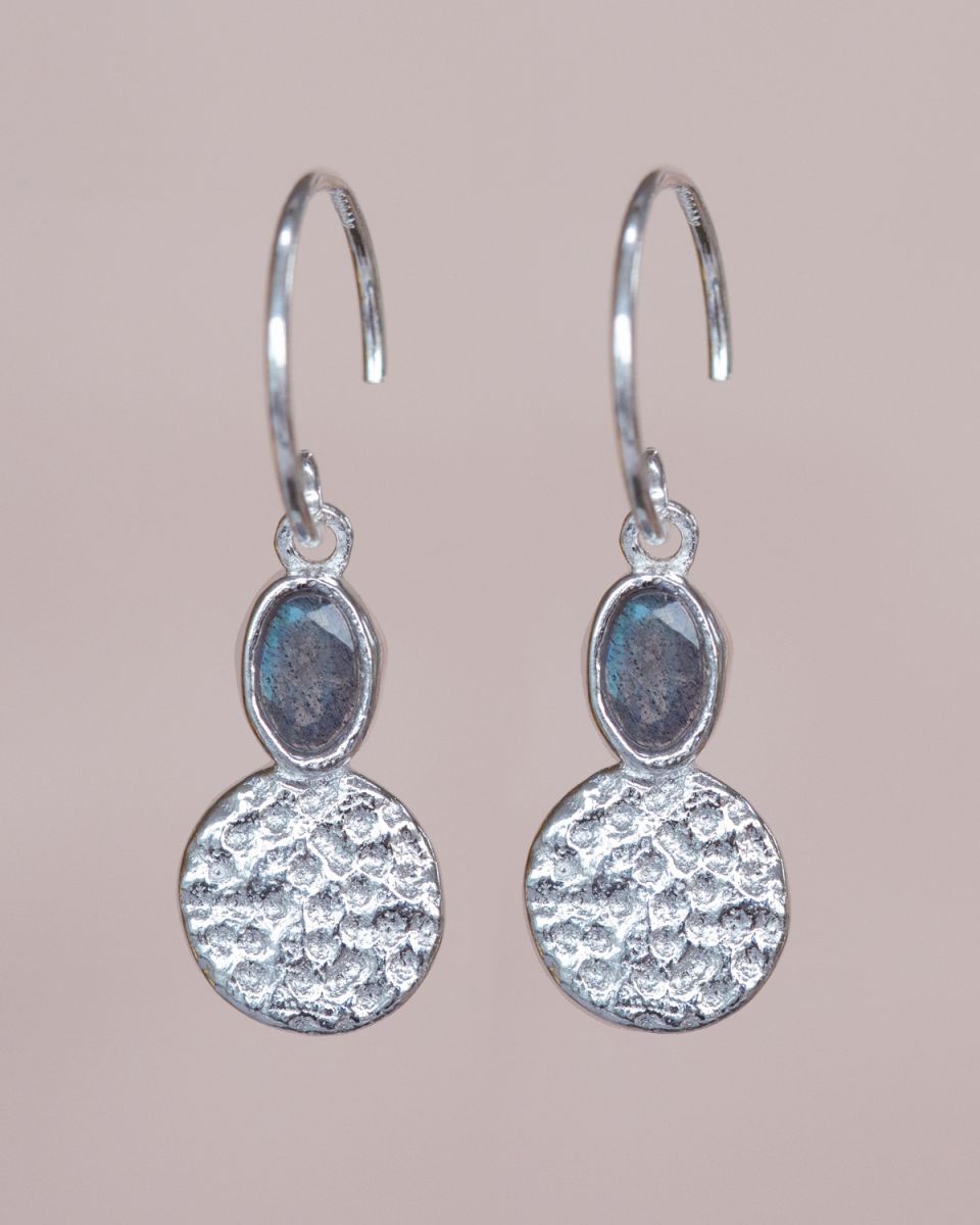 f earring aline hanging oval labradorite vertical coin