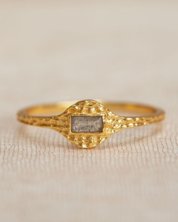 FF - Ring Adia coin with 2x4mm FF - Ring Adia coin with 2x4mm