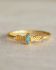 GG - Ring Adoré size 54 oval amazonite with leaves g.pl.