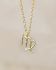 I - Collier Virgo